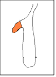 Tekstboks