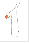 Tekstboks